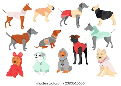 Cute dogs in canine clothes mega set in flat design. Bundle elements of different breeds puppies in funny winter coats, warm sweaters and other outfits. Vector illustration isolated graphic objects