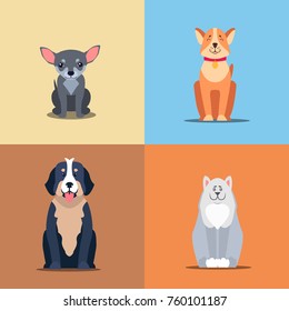 Cute dogs cartoon icons set. Happy doggies sitting with smiling muzzle and hanging out tongue flat vector on colorful background. Lovely purebred pets illustration for vet clinic breed club or shop ad
