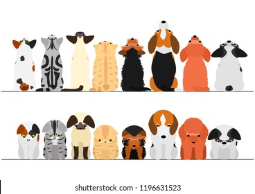 cute dogs and cats looking up and down border set