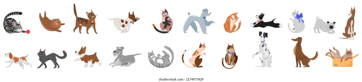 Cute dogs and cats poses set vector illustration. Cartoon portrait of playful pets with funny faces, tail and fur, adorable puppy and kitten playing with toy, sitting in box, running isolated on white
