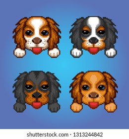 Cute dogs cavalier king charles spaniel heads pixel art avatar illustration