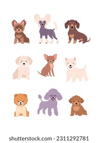 Cute Dogs collection. Vector illustration of funny cartoon diverse small breeds dogs in trendy flat style. Isolated on white.