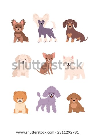 Cute Dogs collection. Vector illustration of funny cartoon diverse small breeds dogs in trendy flat style. Isolated on white.