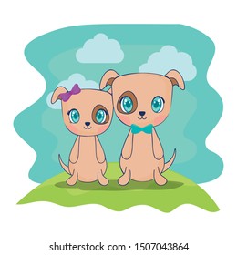 cute dogs couple characters vector illustration