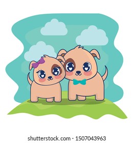 cute dogs couple characters vector illustration