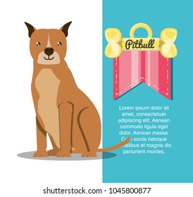 cute dogs design