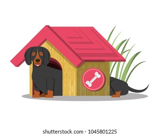 cute dogs design