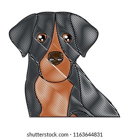 cute dogs design