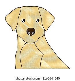 cute dogs design