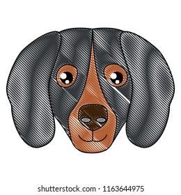 cute dogs design