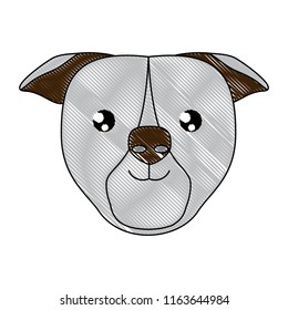 cute dogs design