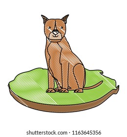 cute dogs design