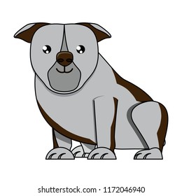 cute dogs design