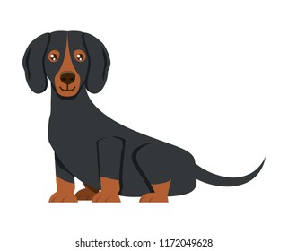 cute dogs design