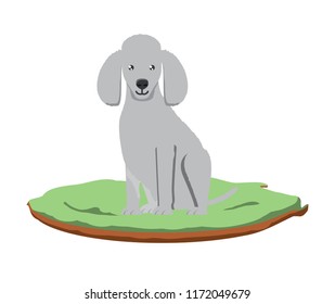 cute dogs design