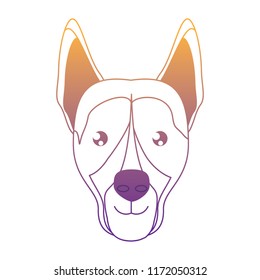 cute dogs design