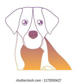 cute dogs design