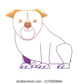 cute dogs design