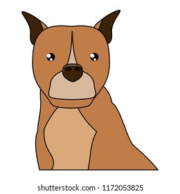 cute dogs design