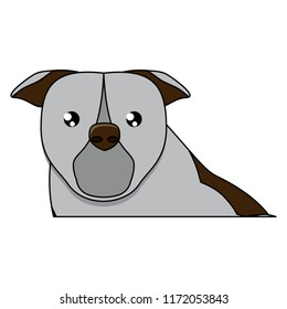 cute dogs design