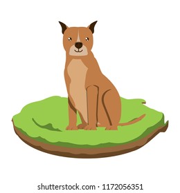 cute dogs design