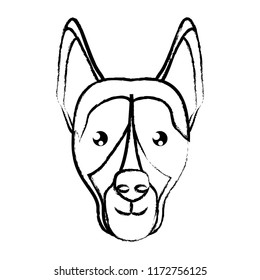 cute dogs design