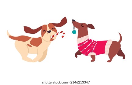 Cute Dogs of Different Breed Dressed in Christmas Ugly Sweater Running with Candy Cane and Bauble Vector Set