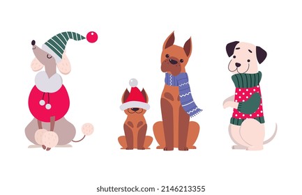 Cute Dogs of Different Breed Dressed in Christmas Ugly Sweater and Scarf Vector Set