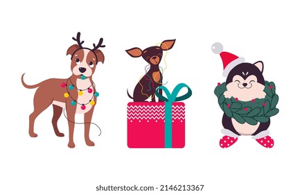 Cute Dogs of Different Breed Tangled with Garland and Sitting on Gift Box Vector Set