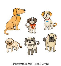 Cute dogs of different breeds