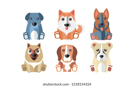 Cute dogs of different breeds set, cartoon animals pets vector Illustration on a white background