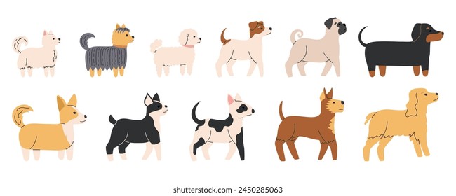 Cute dogs of different breeds set. Diverse small and medium doggies. Canine animals. Side view. Flat Vector illustration isolated on white background