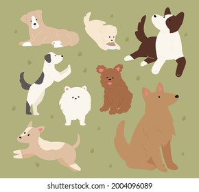 Cute dogs of different breeds are sitting or playing. flat design style minimal vector illustration.