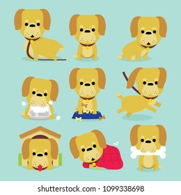 Cute dogs in different poses