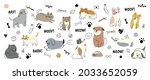 Cute dogs doodle vector set. Cartoon dog or puppy characters design collection with flat color in different poses. Set of funny pet animals isolated on white background.