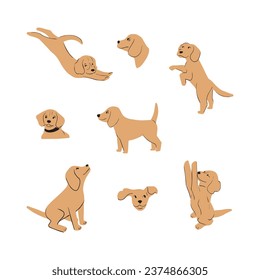 Cute dogs doodle vector set. Cartoon dog or puppy characters design collection with flat color in different poses. Set of funny pet animals isolated on white background.