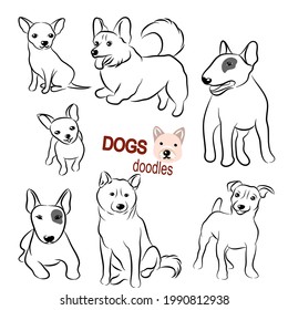 Cute dogs doodles.Hand drawn vector illustration on white back ground.