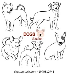 Cute dogs doodles.Hand drawn vector illustration on white back ground.