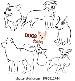 Cute dogs doodles.Hand drawn vector illustration on white back ground.
