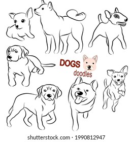 Cute dogs doodles.Hand drawn vector illustration on white back ground.