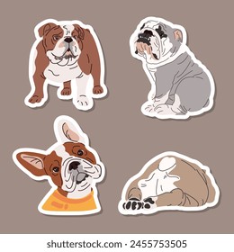 Lindos perros de las razas bulldogs Inglés y Francés paquete de pegatinas. Divertidos perros de pura raza. Conjunto de dibujos animados de pegatinas de perros divertidos. Ilustración vectorial plana aislada