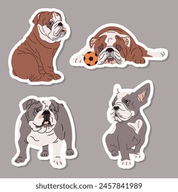 Cute dogs of English and French bulldogs breeds sticker pack. Funny purebred doggies. Cartoon set of funny dogs stickers. Isolated flat vector illustration