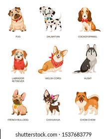 Cute dogs. Furry human friends home animals different breed pug, labrador and husky. Funny pets, happy puppies cartoon vector friendly comic doggy characters