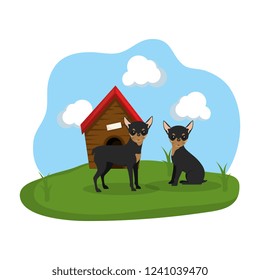 cute dogs with house wooden in the grass