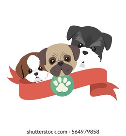 cute dogs isolated icon