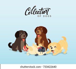 Cute dogs Labrador and golden retriever. Flat animal cartoon character. vector illustration
