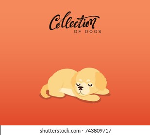 Cute dogs Labrador and golden retriever. Flat animal cartoon character. vector illustration