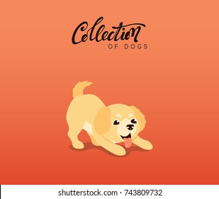 Cute dogs Labrador and golden retriever. Flat animal cartoon character. vector illustration