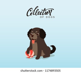 Cute dogs labrador and retriever. Flat animal cartoon character.