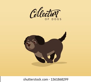 Cute dogs labrador and retriever. Flat animal cartoon character.